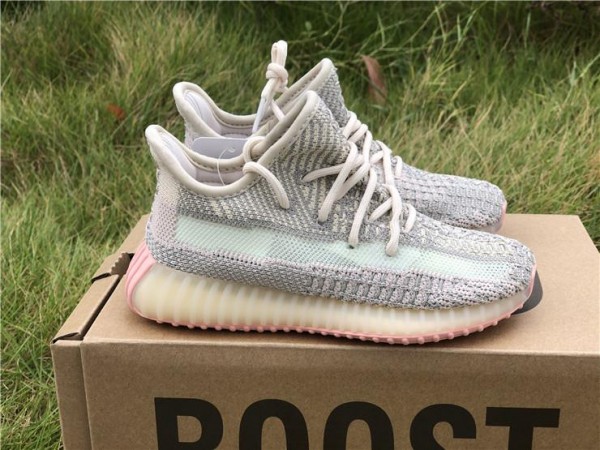 2019 Adidas Yeezy Boost 350 V2 "Ctrin" (Kids)