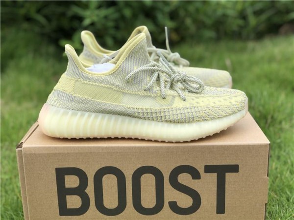 2019 Adidas Yeezy Boost 350 V2 "Antlia" FV3250