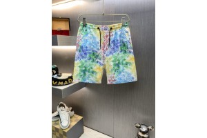 Louis Vuitton Shorts Summer Multi color